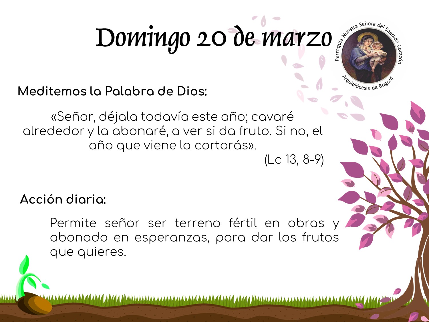 dia19cuaresma
