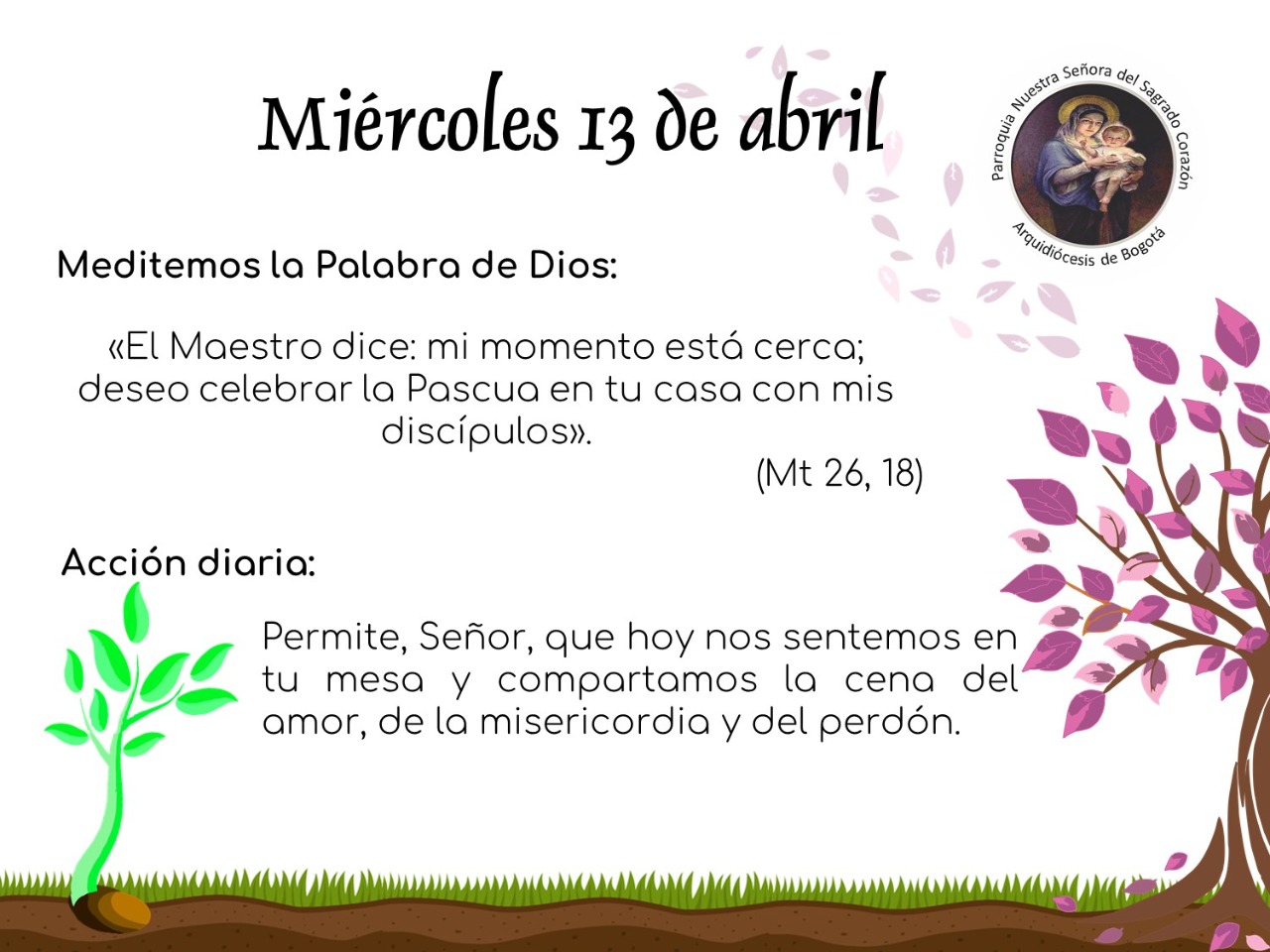 dia43cuaresma