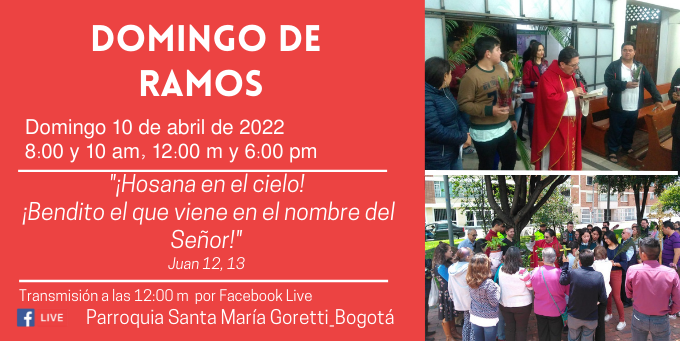 Domingo de Ramos 8 am