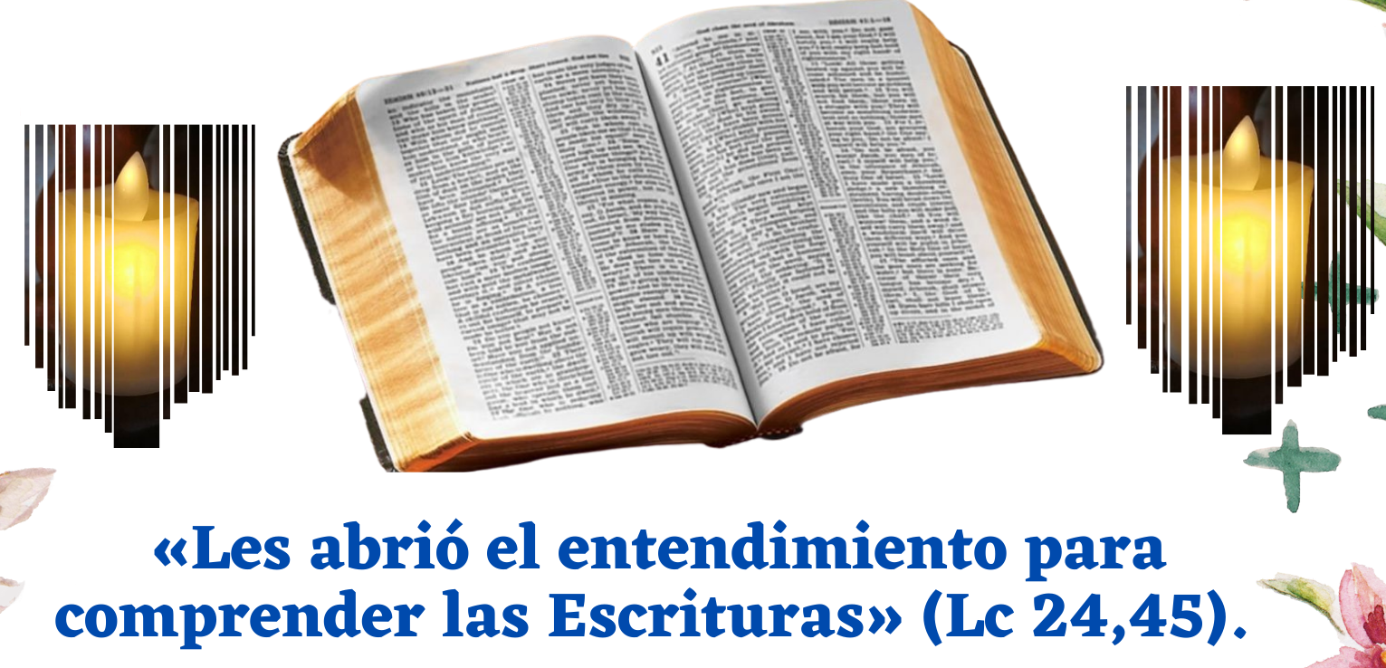 la palabra