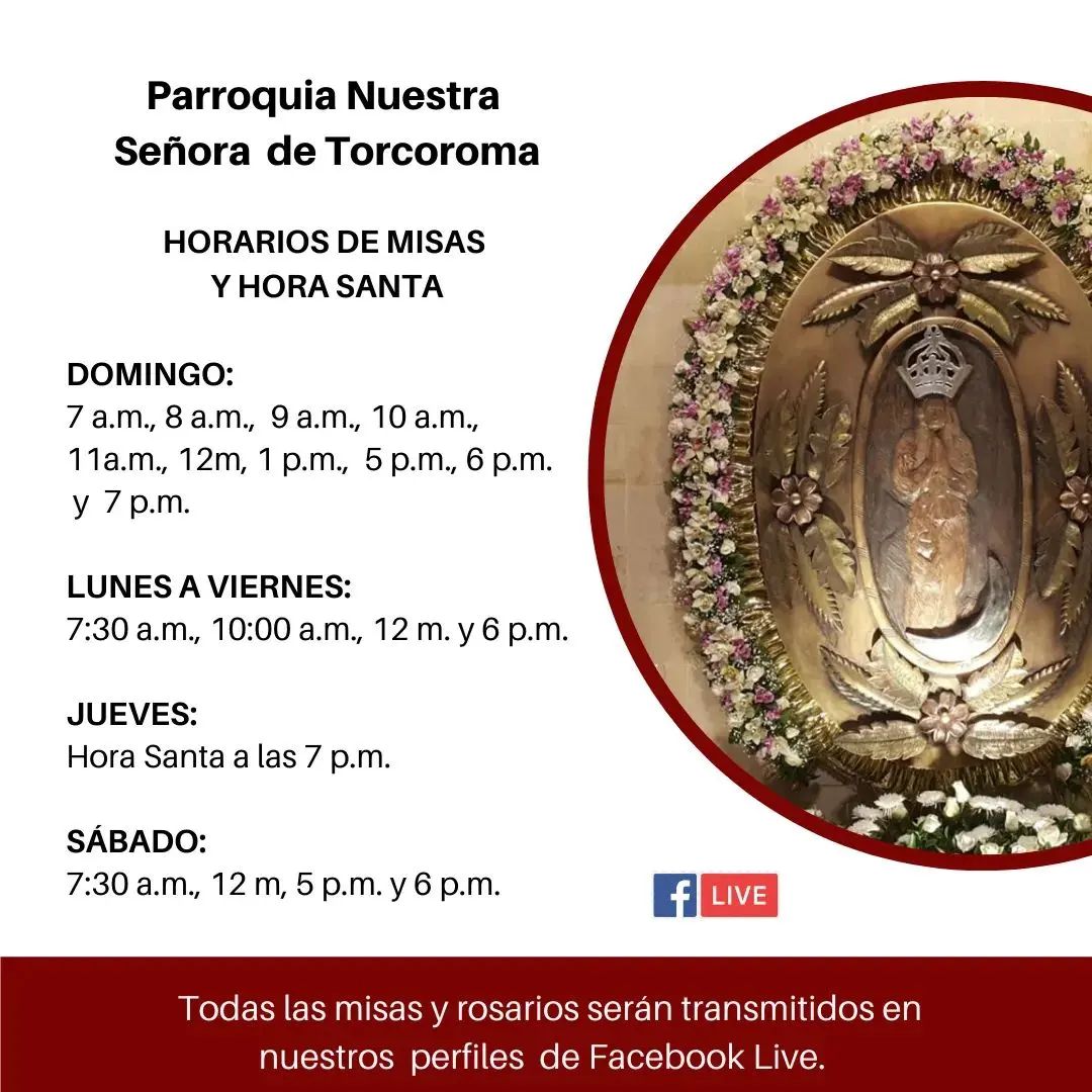 Horario misas SDS