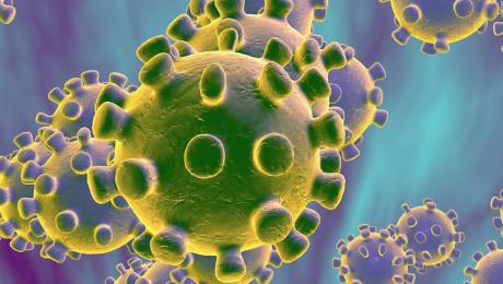 https://arquimedia.s3.amazonaws.com/203/varias/200210135906-coronavirus-cell-full-169jpg.jpg