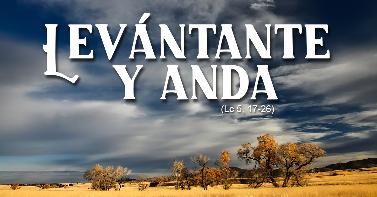 https://arquimedia.s3.amazonaws.com/64/eventos/levantatejpg.jpg