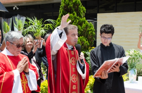 domingo de ramos