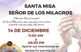 SR DE LOS MILAGROS