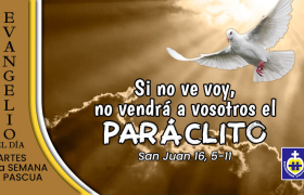 evangelio del dia